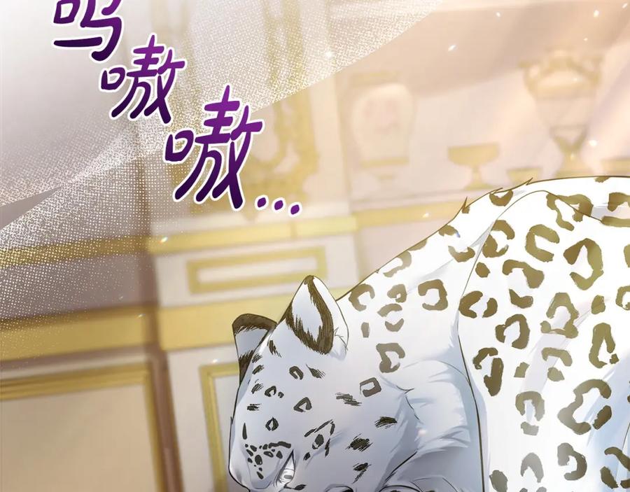 第262页