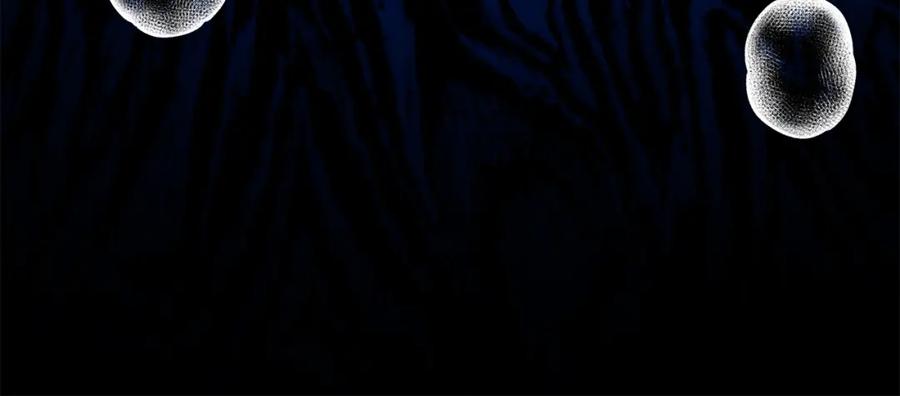 第218页