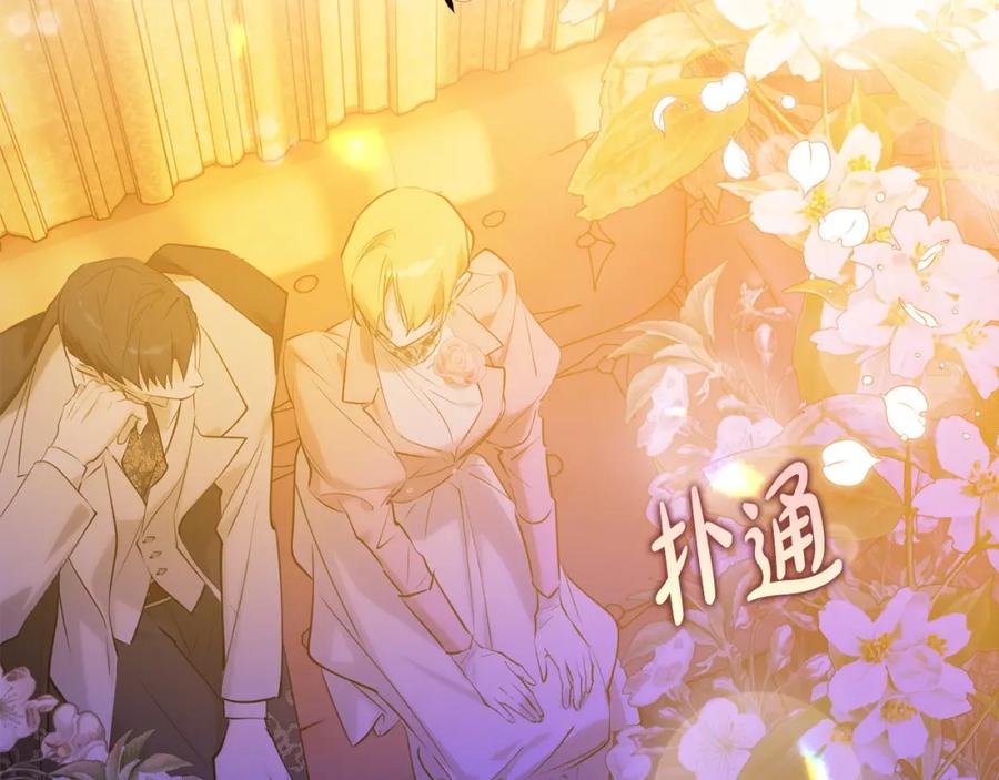第223页