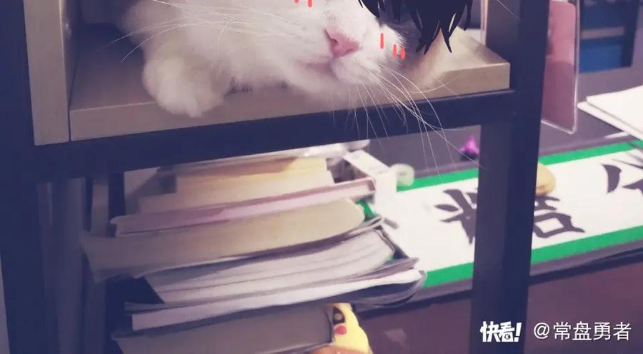 第198页