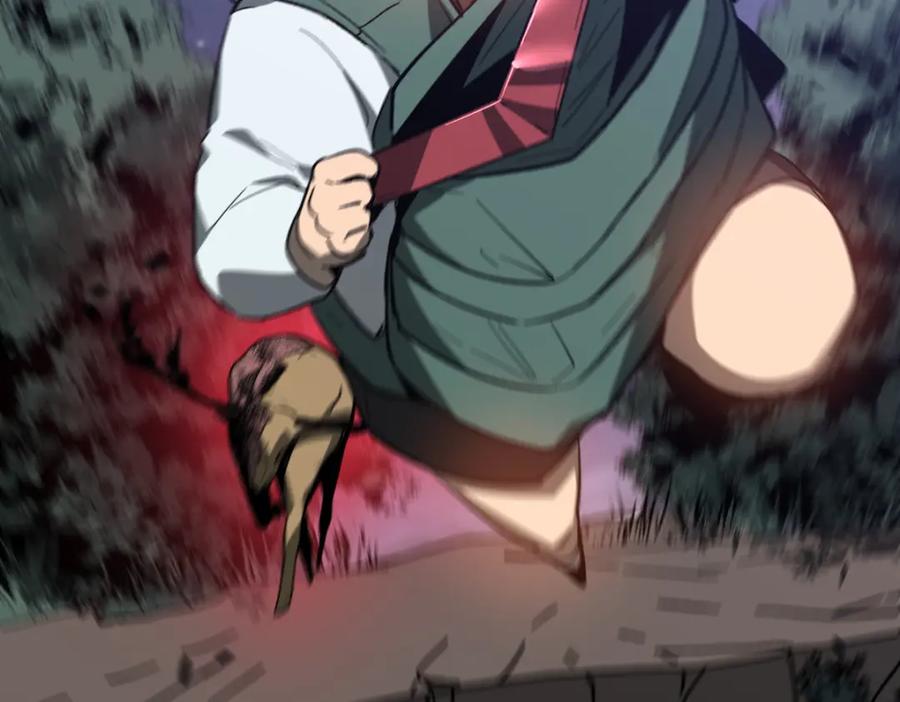 第204页