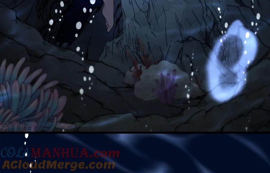第205页