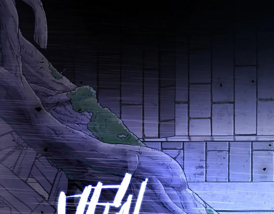 第214页