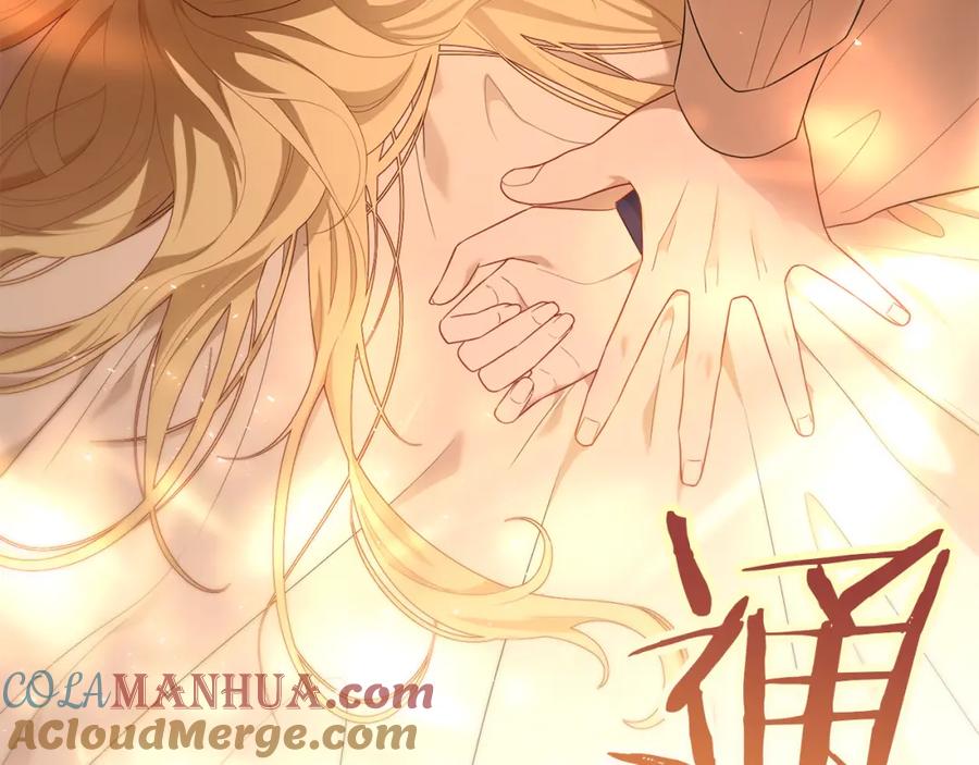 第205页