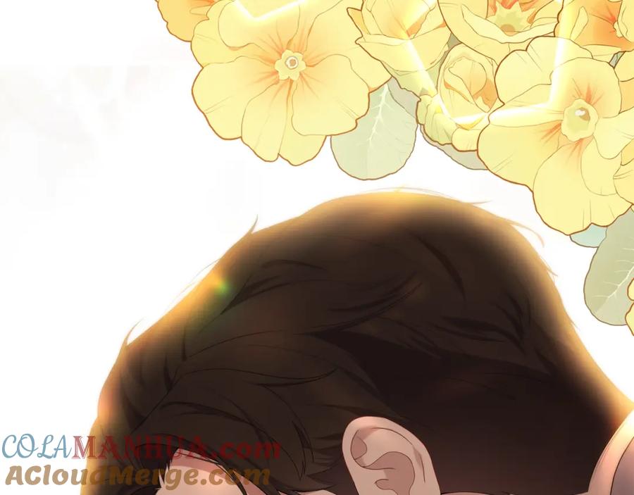 第217页