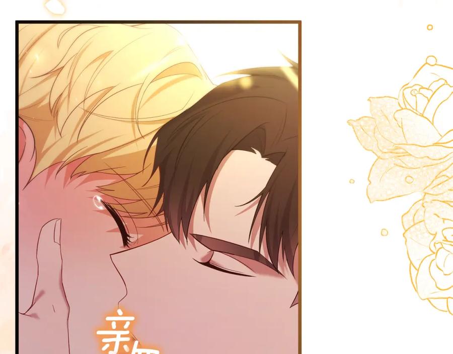 第223页