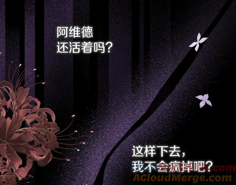 第217页