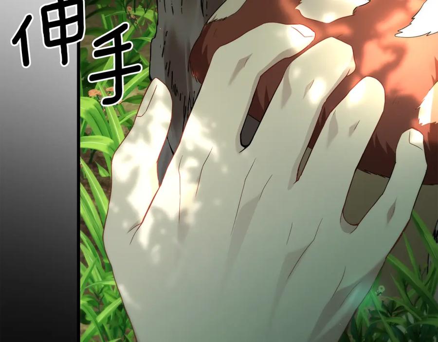 第194页