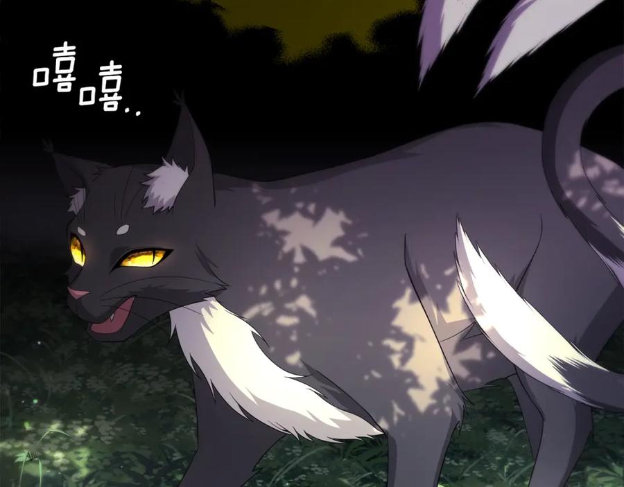 第203页