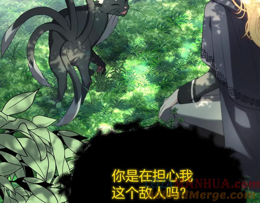 第217页