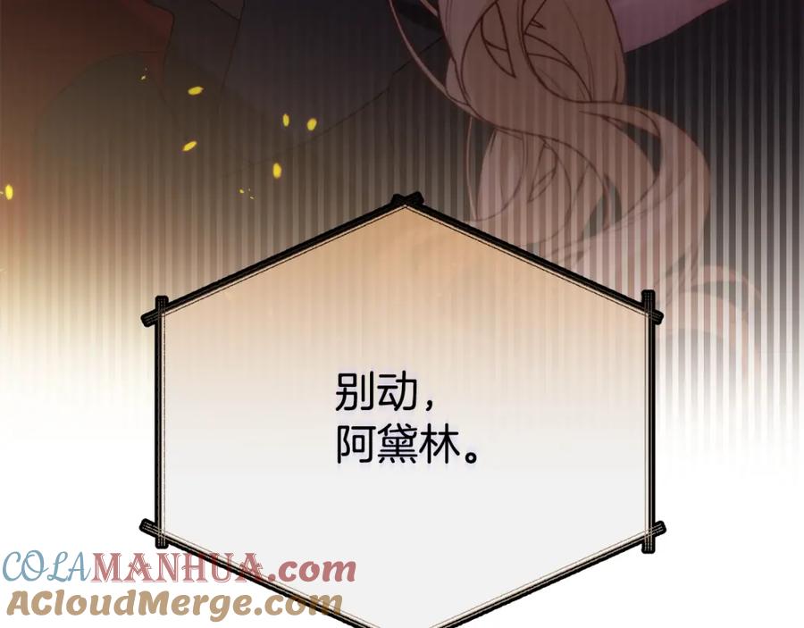 第217页