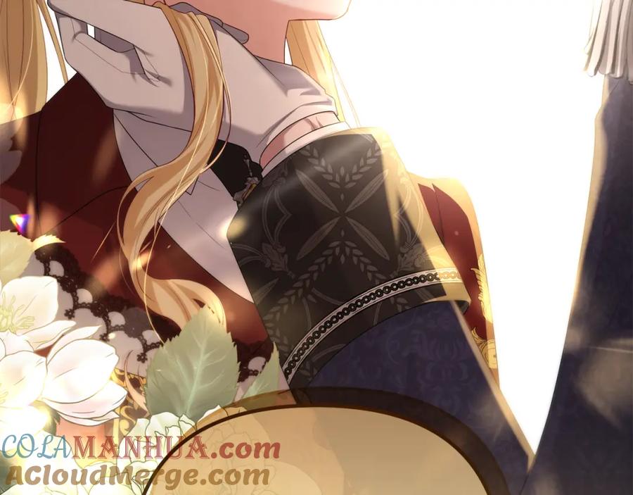 第221页