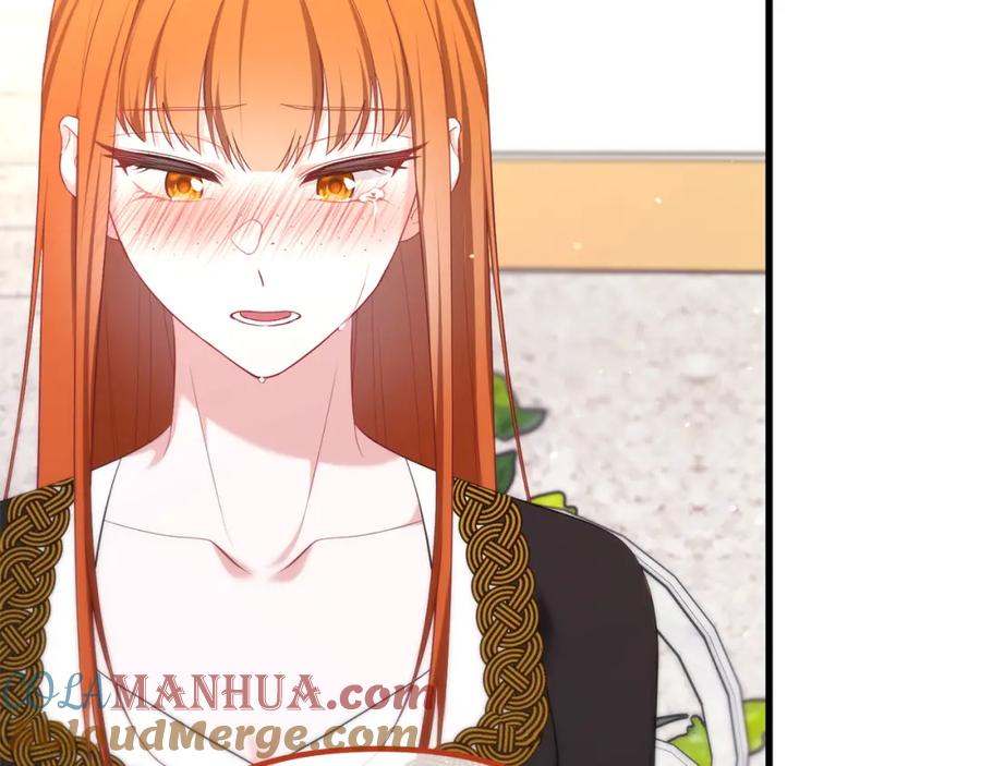 第205页