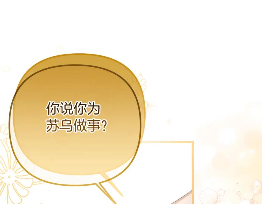第223页