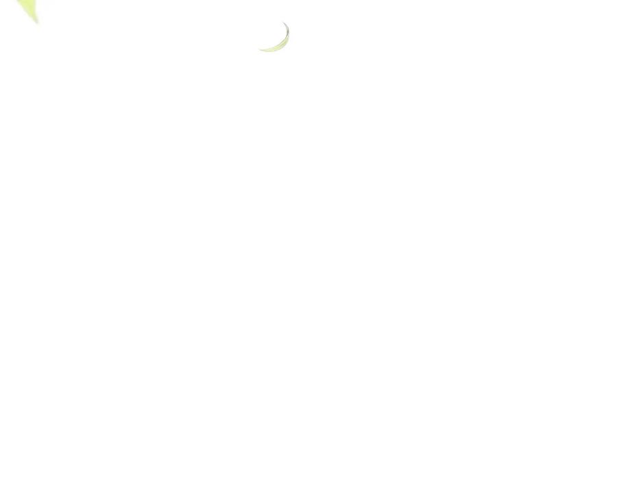第194页