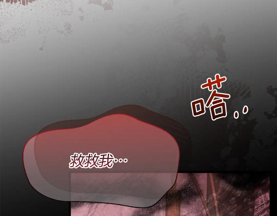 第262页