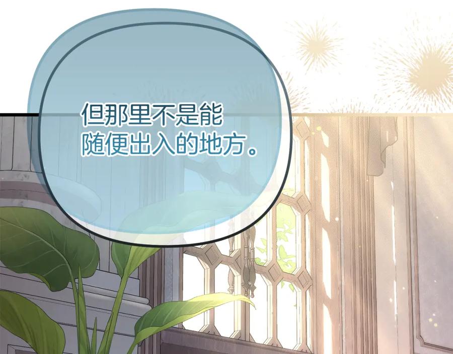 第223页