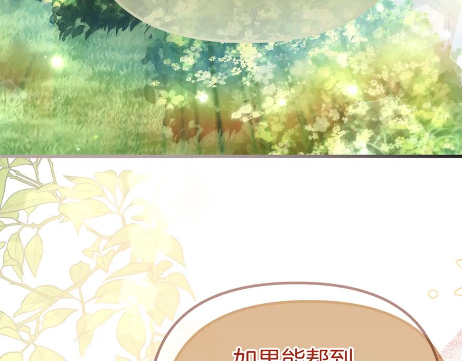 第242页
