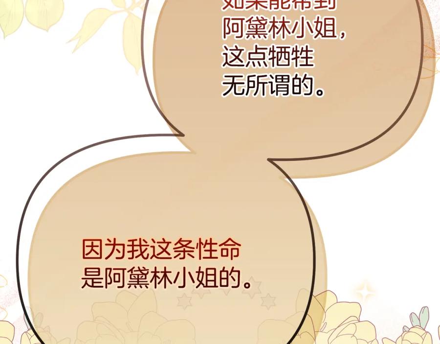 第243页