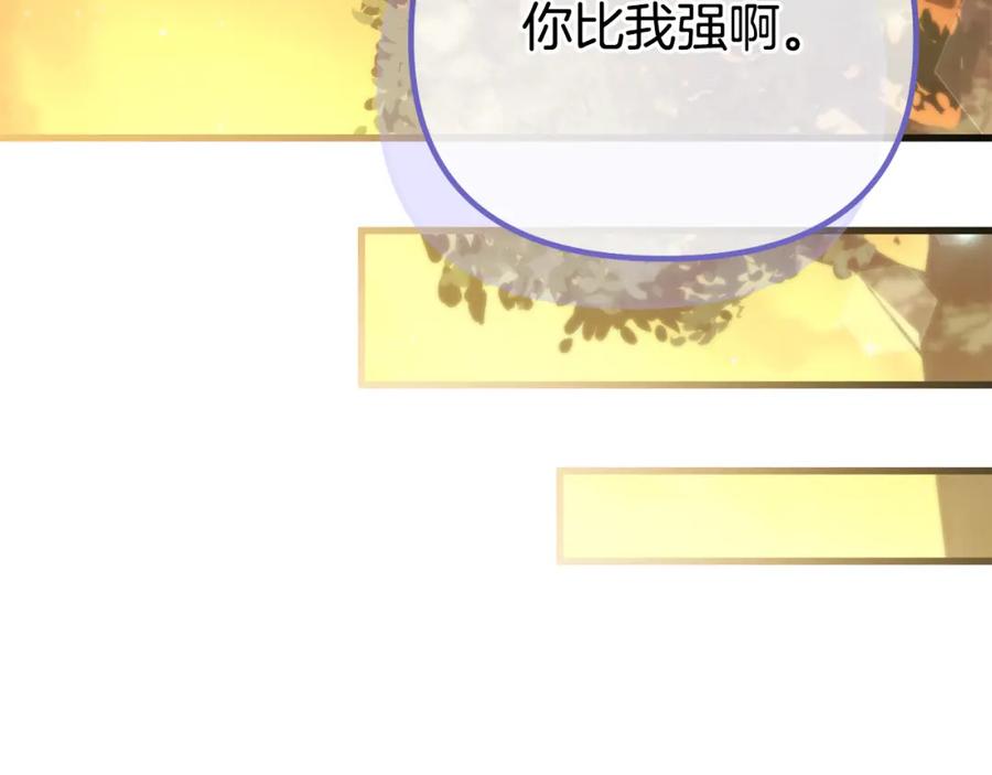 第238页