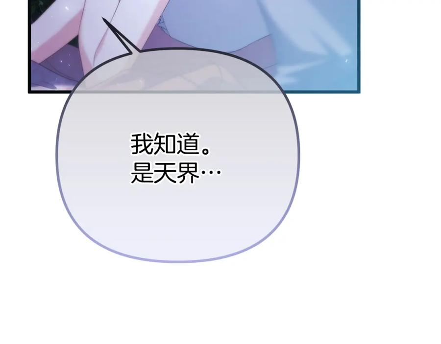 第255页