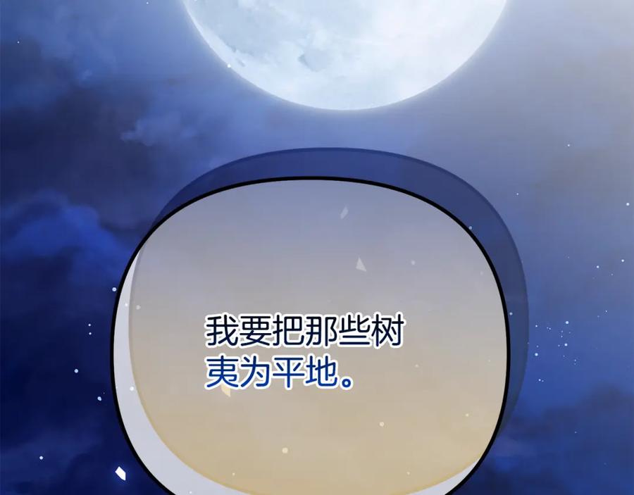 第258页