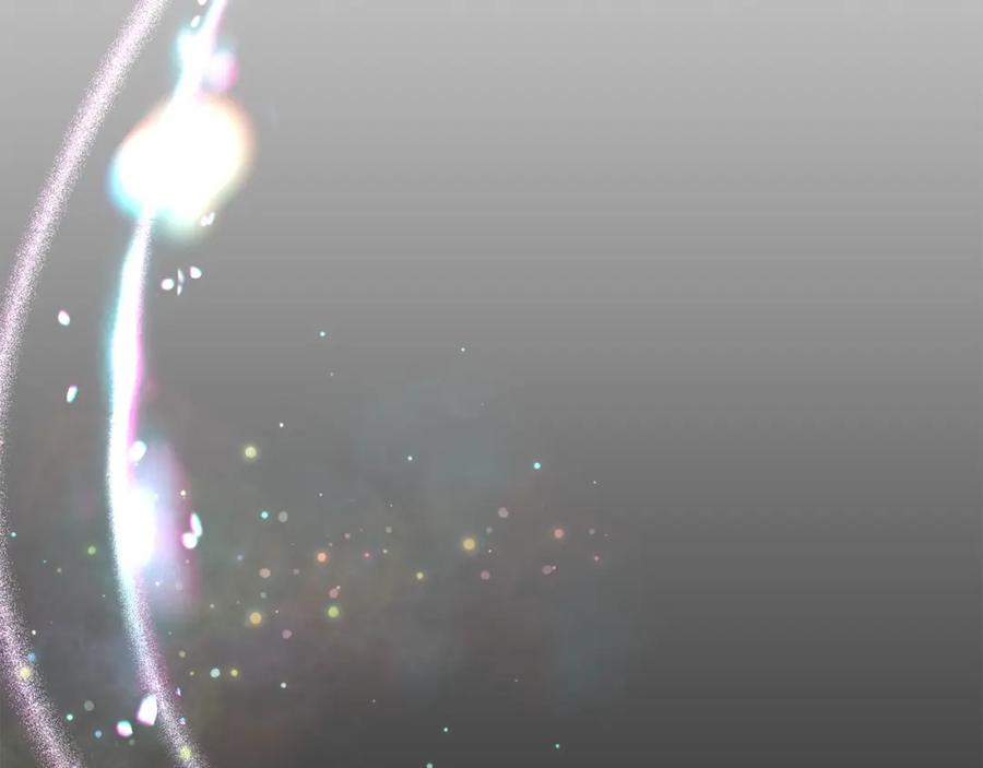 第204页
