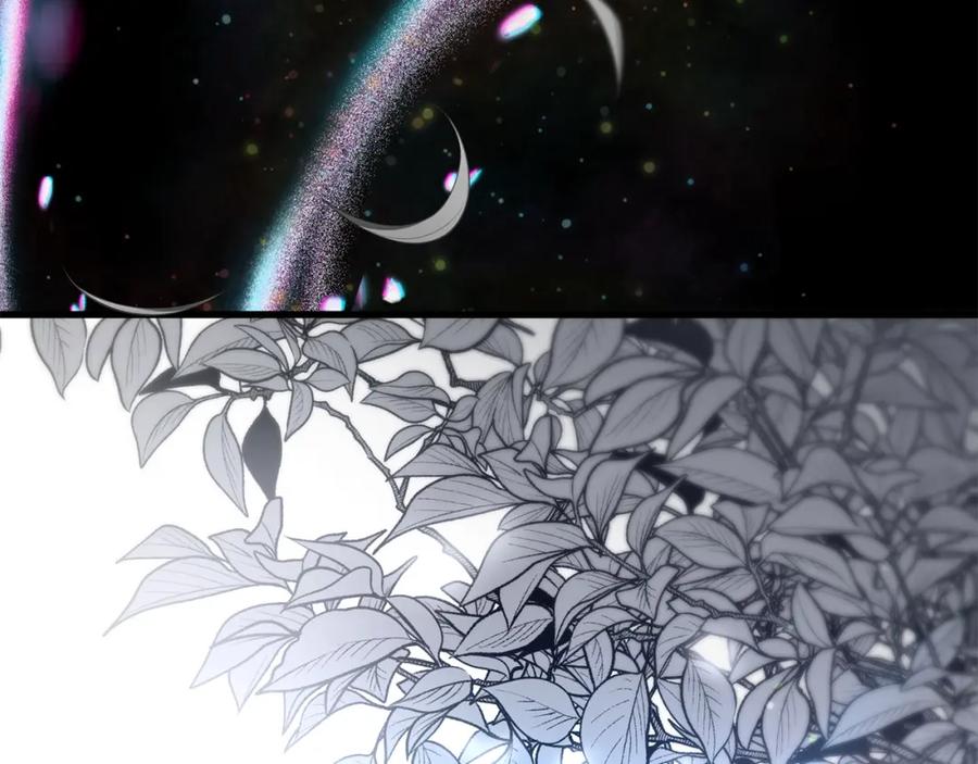 第208页