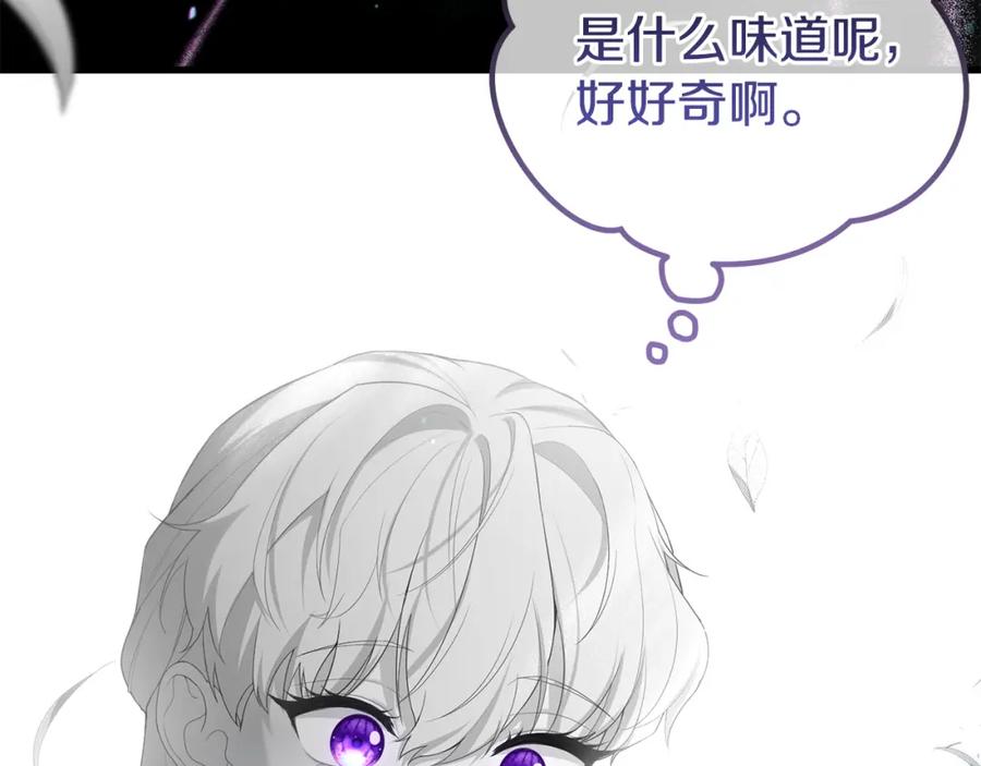第211页
