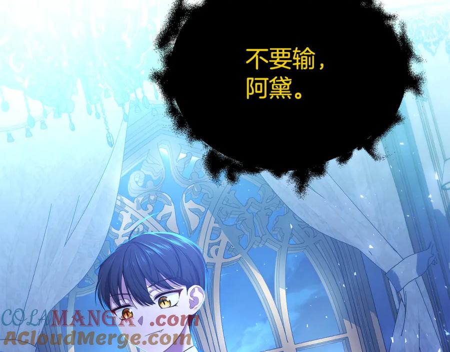 第221页