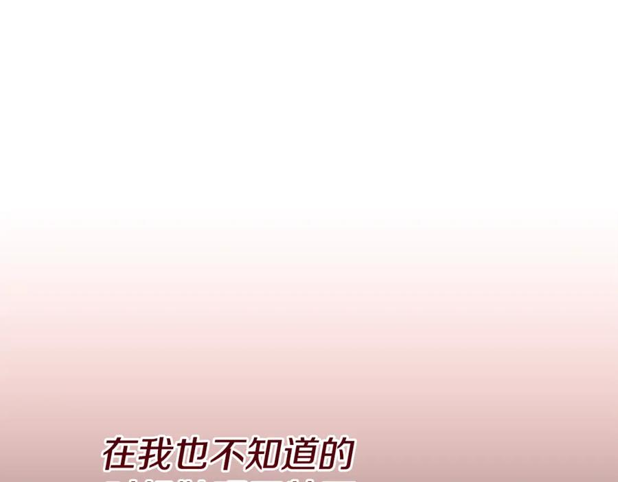 第242页