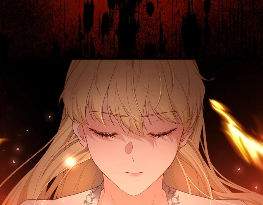 第248页