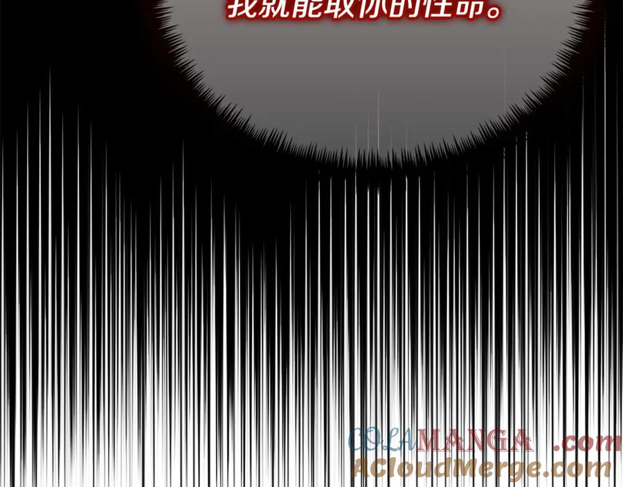 第241页