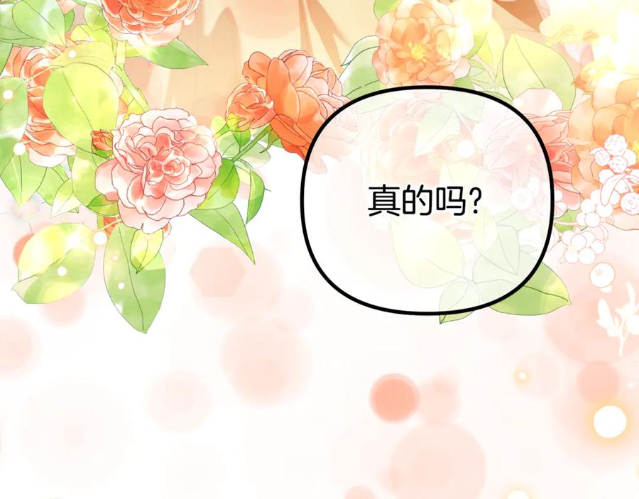 第242页