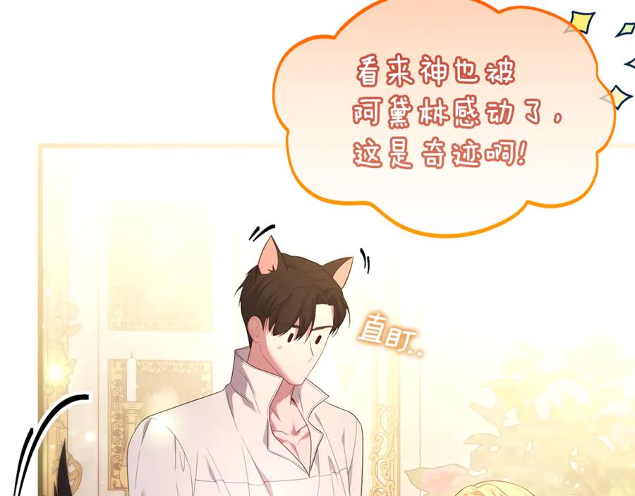 第236页