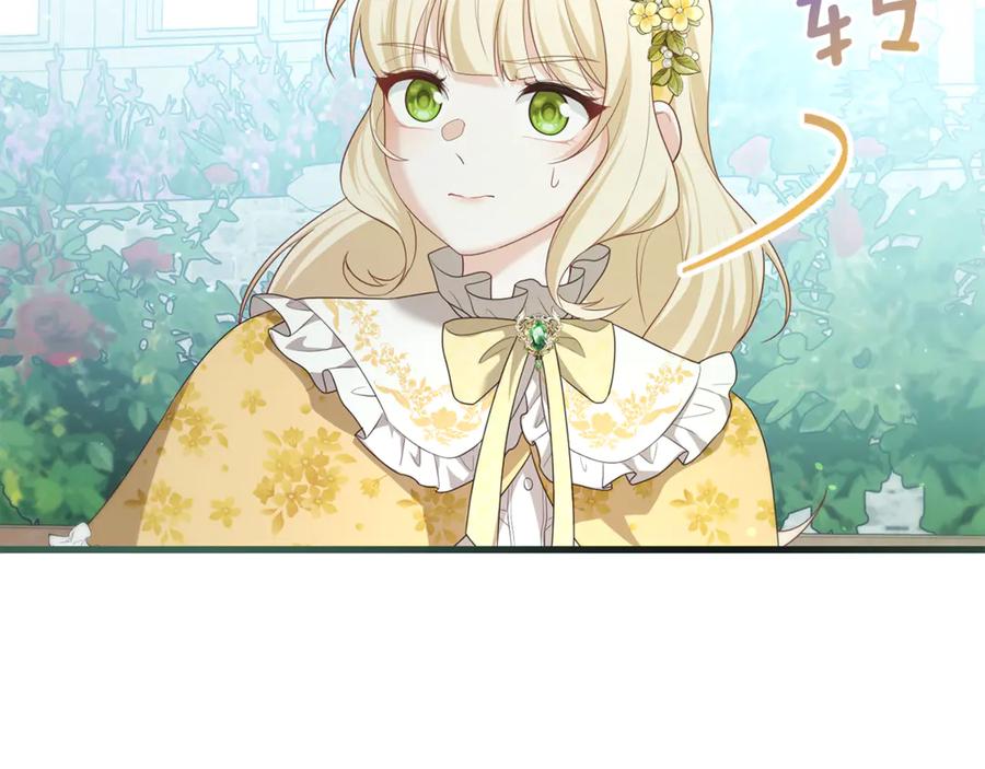 第231页