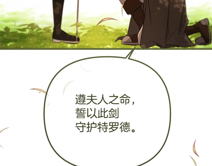 第207页