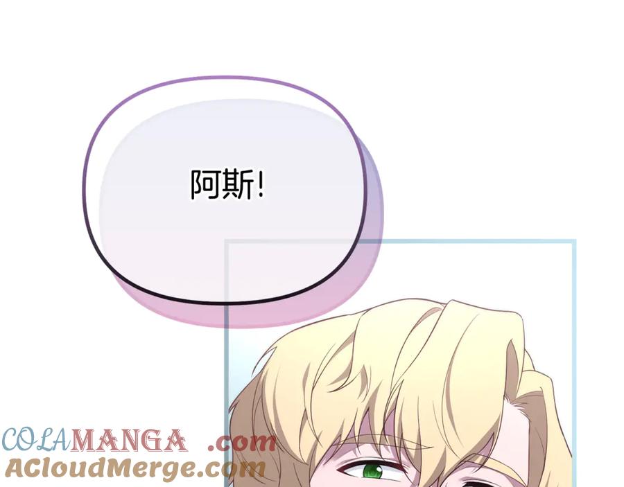 第519页