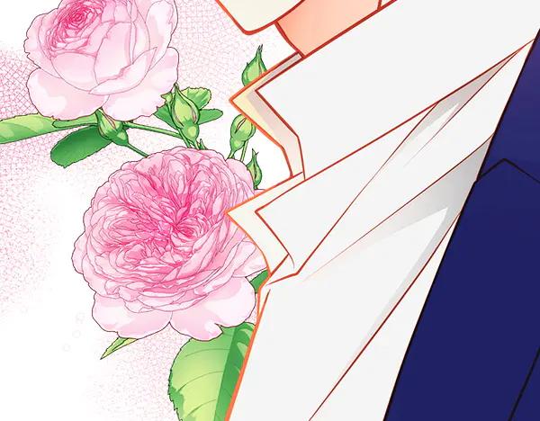 第243页