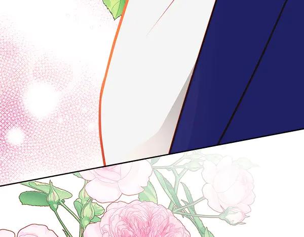 第244页
