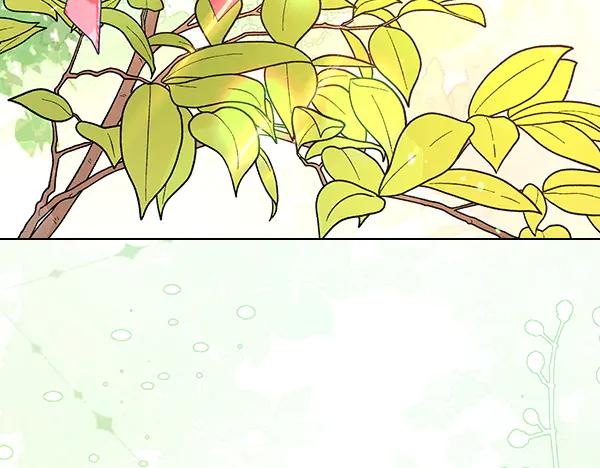 第224页