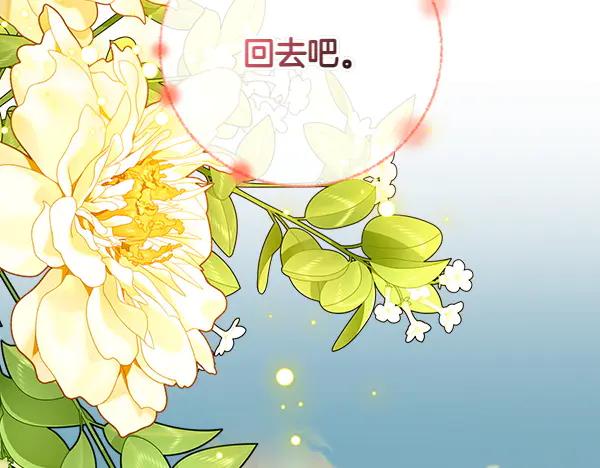 第215页
