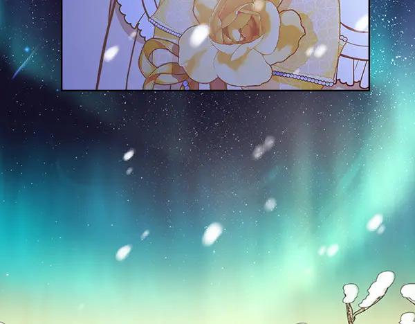 第239页