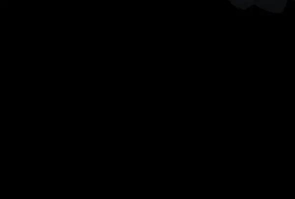 第246页