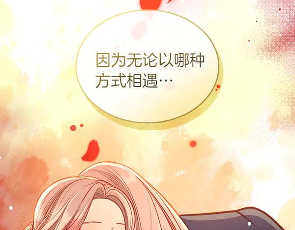 第223页