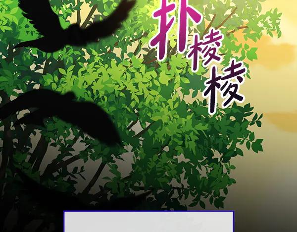 第247页