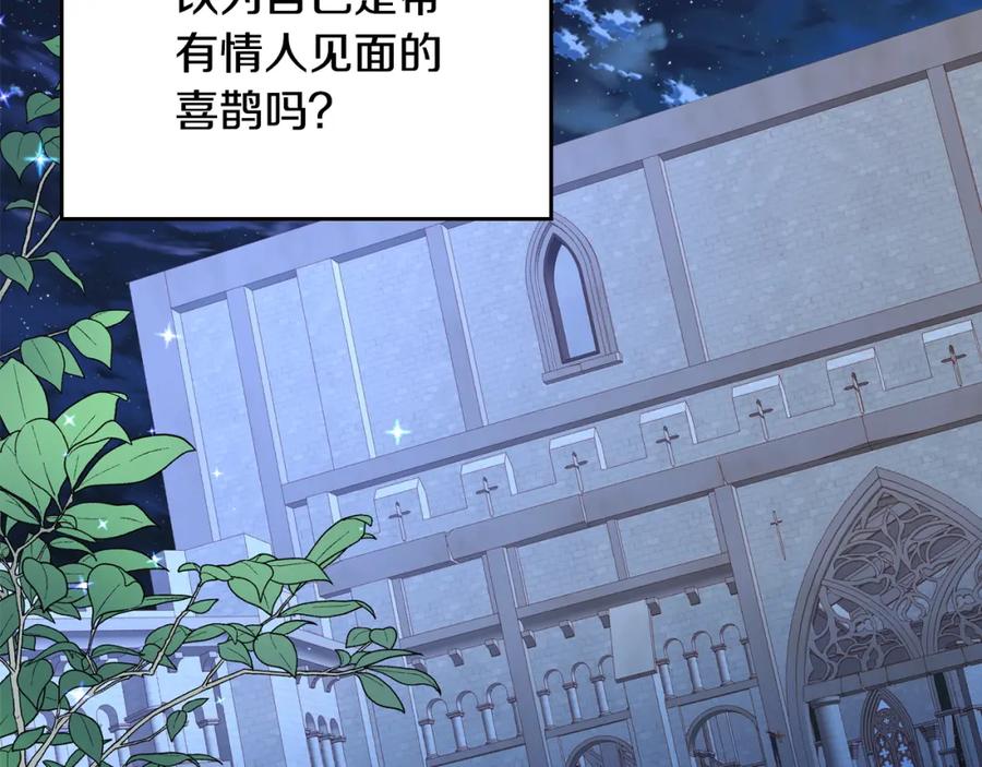 第204页