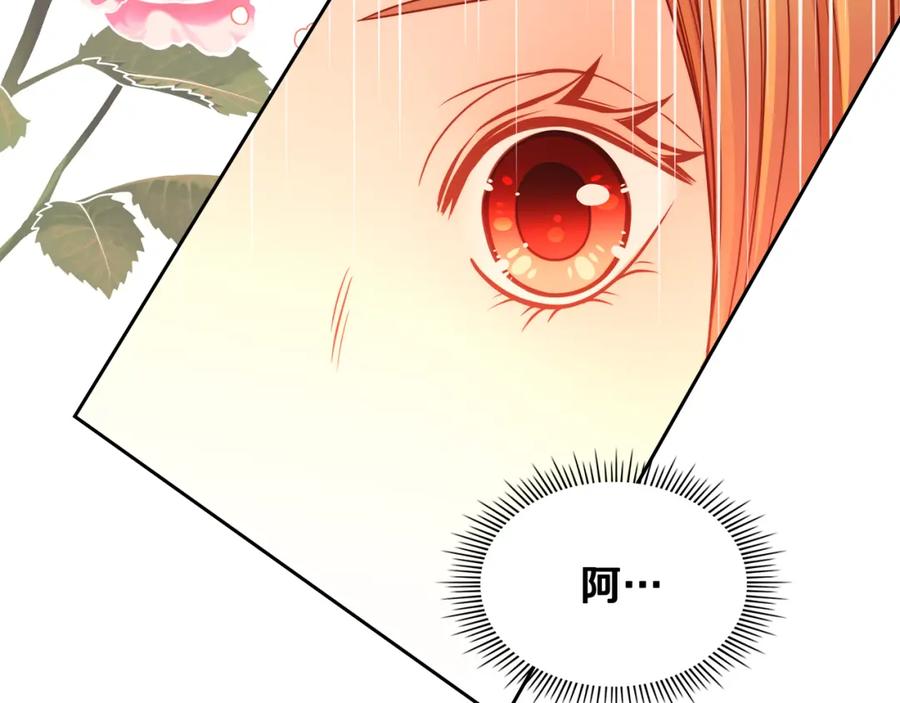 第238页