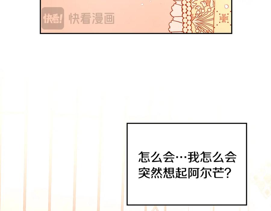 第242页