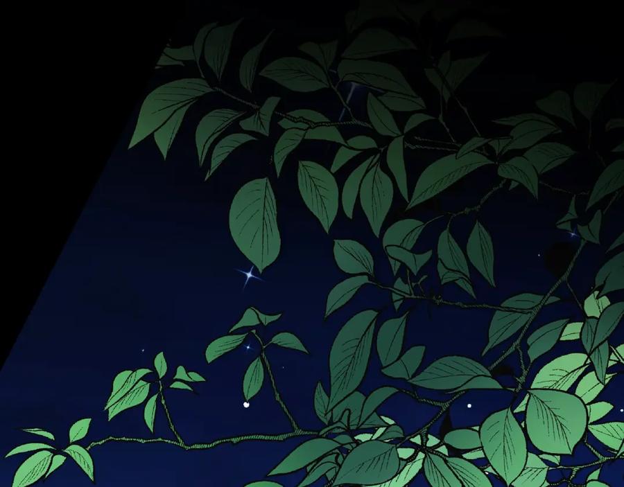 第215页